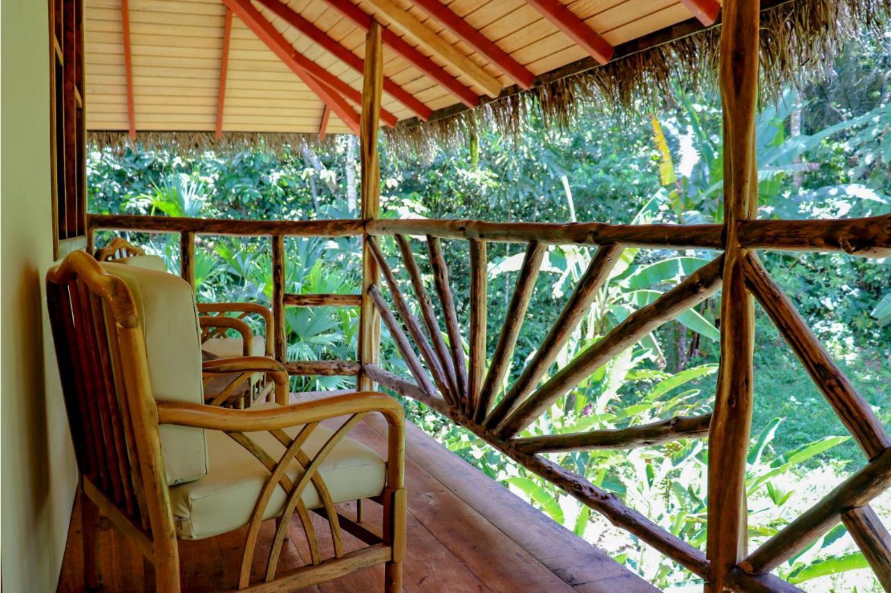 Suchipakari Amazon Eco -Lodge & Jungle Reserve Puerto Misahuallí Zewnętrze zdjęcie
