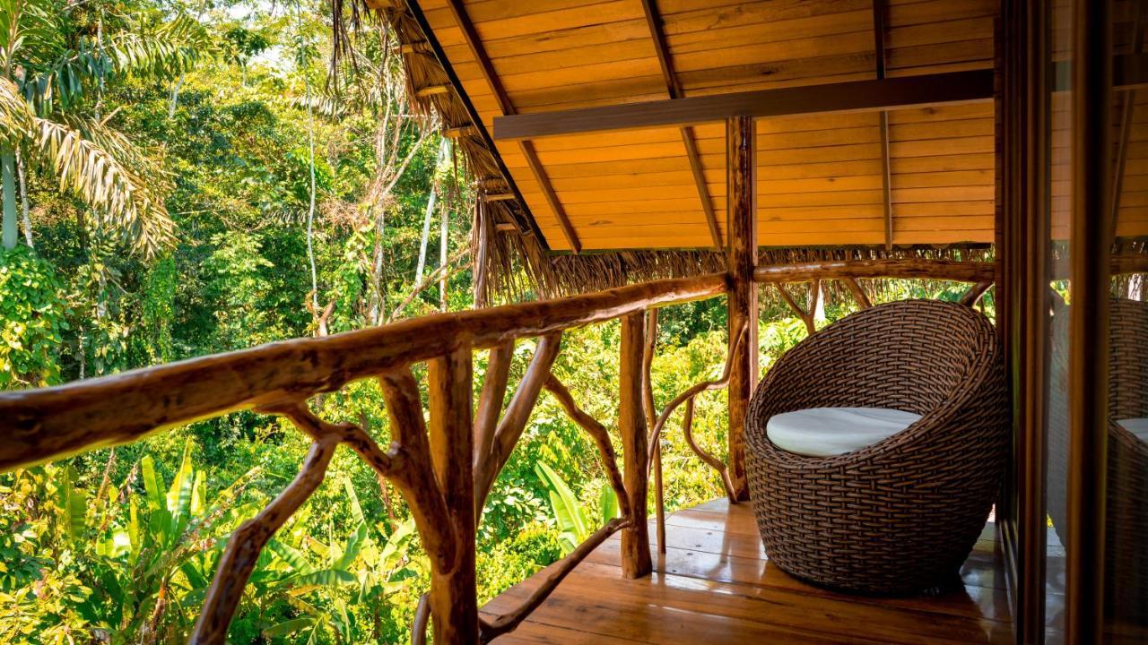 Suchipakari Amazon Eco -Lodge & Jungle Reserve Puerto Misahuallí Zewnętrze zdjęcie
