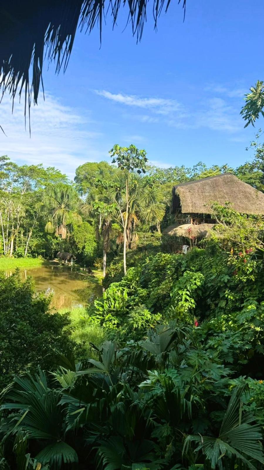 Suchipakari Amazon Eco -Lodge & Jungle Reserve Puerto Misahuallí Zewnętrze zdjęcie