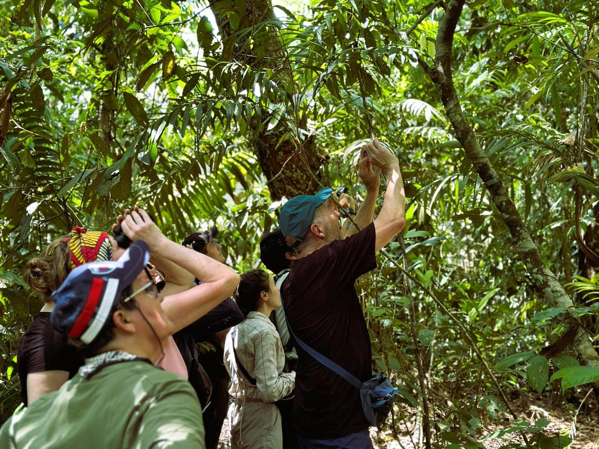 Suchipakari Amazon Eco -Lodge & Jungle Reserve Puerto Misahuallí Zewnętrze zdjęcie
